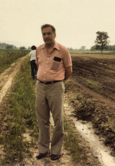 Strawberry picking, June 1986.