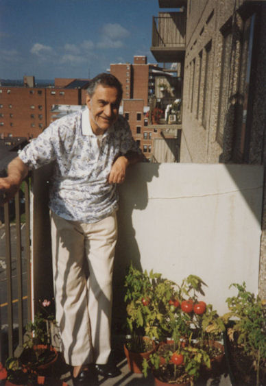 Growing tomato, August 2002.